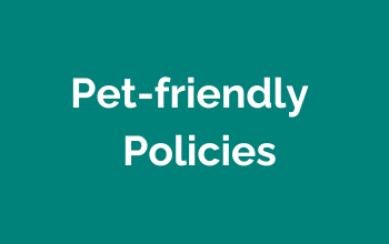 pet-friendly
